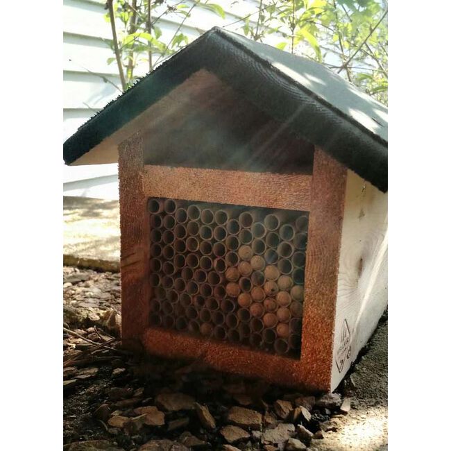 Welliver Outdoors Mason Cedar Bee House image number null