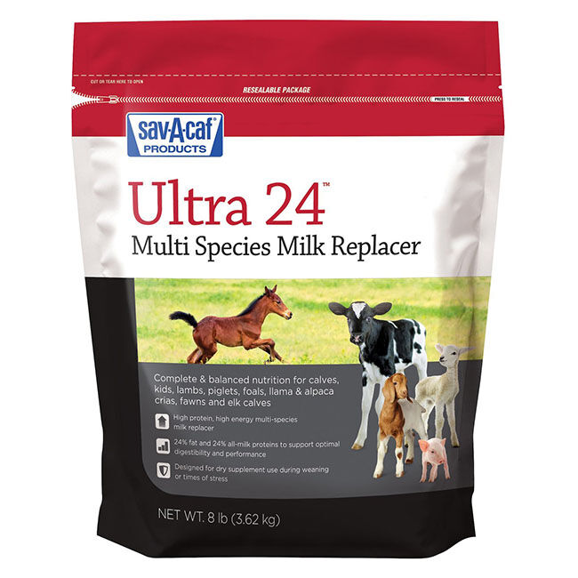 Sav-A-Caf Grade A Ultra 24 Multi-Purpose Milk Repacer image number null