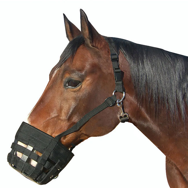 Best Friend Deluxe Grazing Muzzle image number null