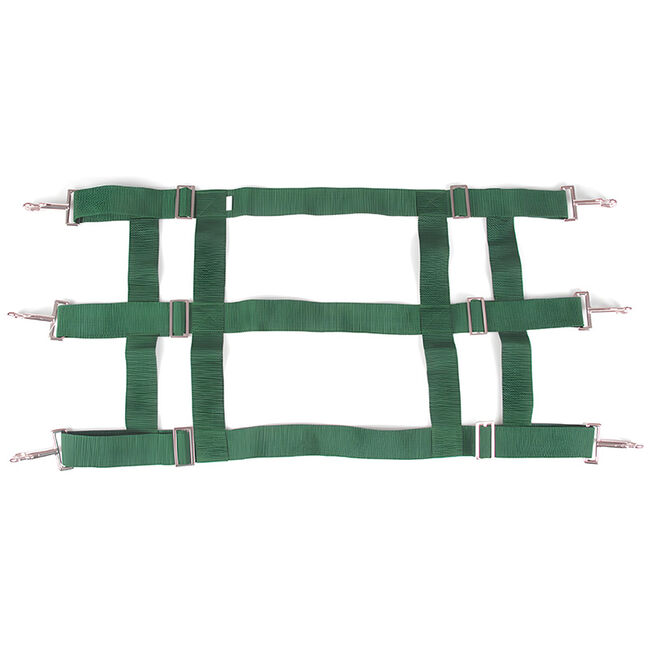 Intrepid International 3-Slot Poly Web Stall Guard image number null