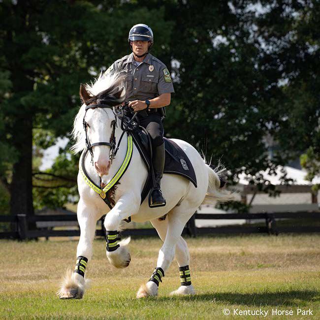 Breyer Legend - Kentucky Horse Park Mounted Police Horse image number null