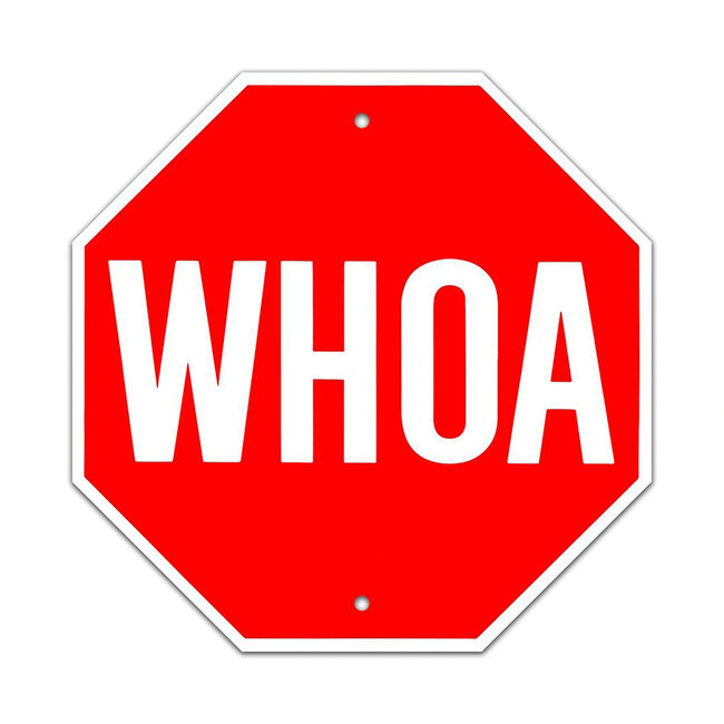Noble Beasts Graphics "Whoa" Sign image number null