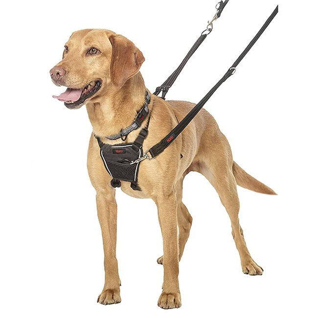 Halti Nylon No-Pull Dog Harness - Black image number null