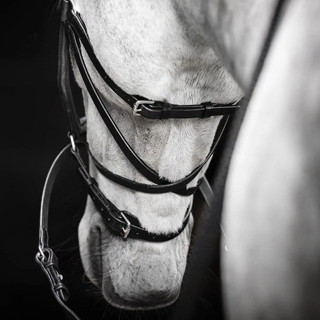 Horseware Micklem Bitless Bridle image number null