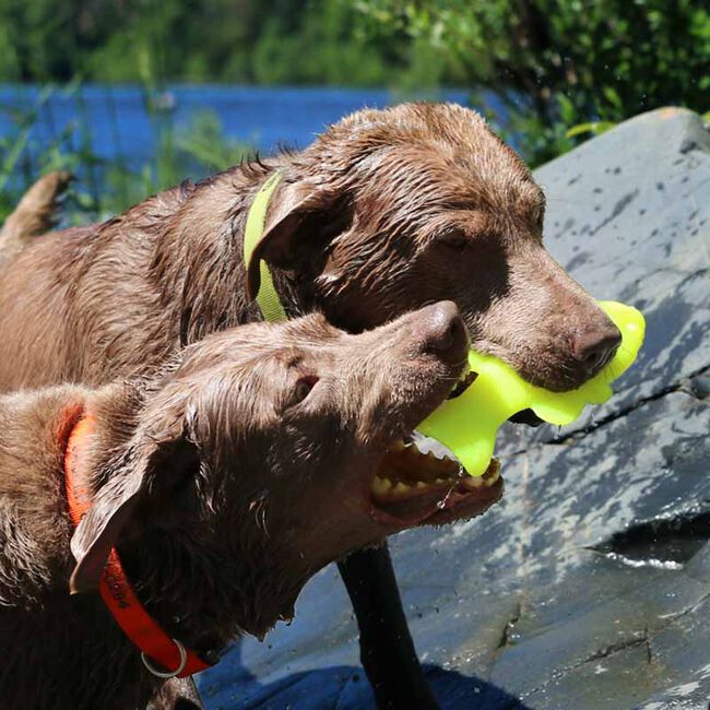 Ruff Dawg Flying Fish - Rubber Retrieving Dog Toy - Assorted Colors image number null