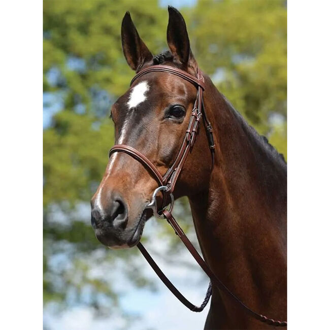 Kincade Padded Plain Raised Bridle image number null