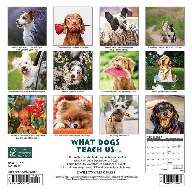 Willow Creek Press 2024 Mini Wall Calendar - What Dogs Teach Us image number null