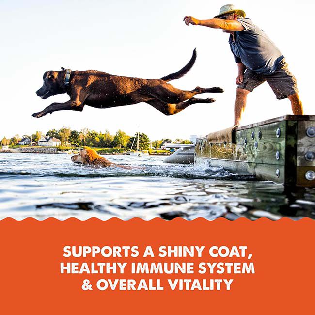 Grizzly Pet Products Wild Alaskan Salmon Plus Supplement image number null