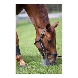 Thinline Flexible Filly Slow Feed Grazing Muzzle