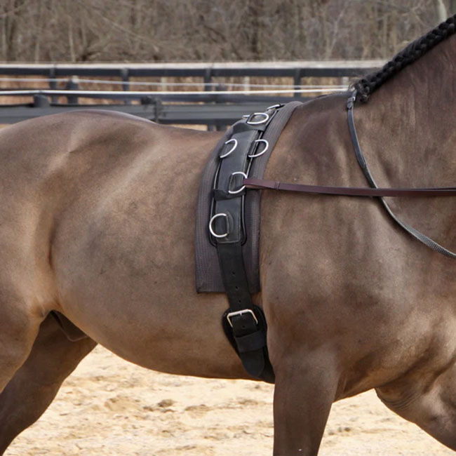 Dura-Tech Deluxe Neoprene Surcingle - Black image number null