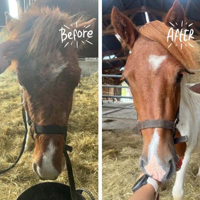 Carr & Day & Martin Killitch image number null