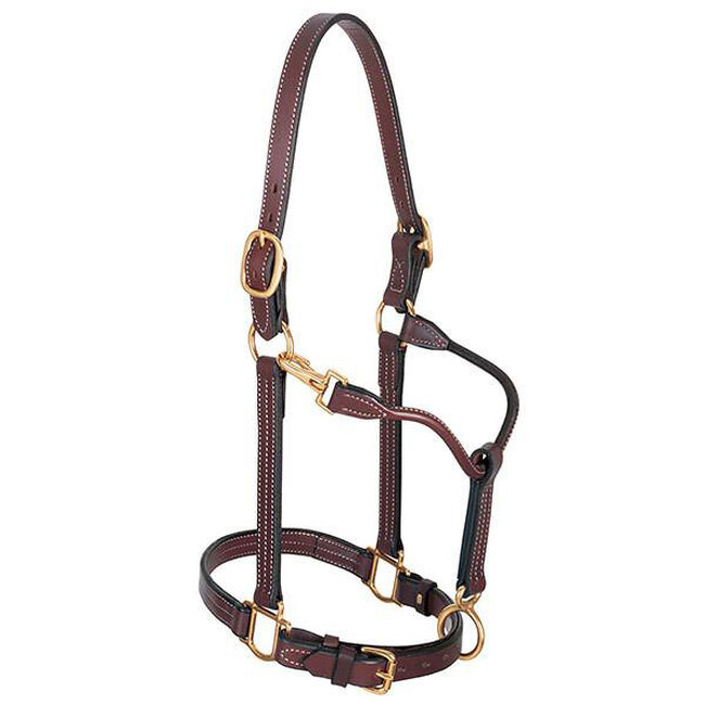 Weaver Equine 1" Track Halter image number null