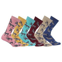 AWST International Socks - Playful Donkeys - Assorted Colors
