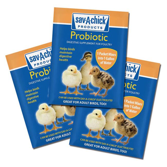 Sav-A-Caf Products Sav-A-Chick Probiotic Supplement - 3-Pack image number null
