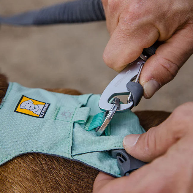 Ruffwear Double Track Dog Leash Coupler image number null