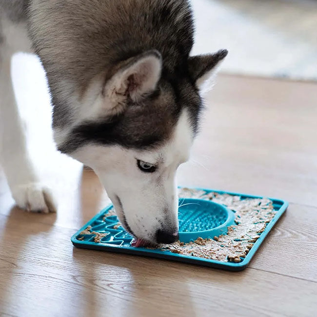 Messy Mutts 9.5" Framed Spill-Resistant Silicone Lick Mat & Bowl - Closeout image number null