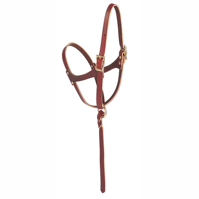 Weaver Equine Figure 8 Foal Halter image number null