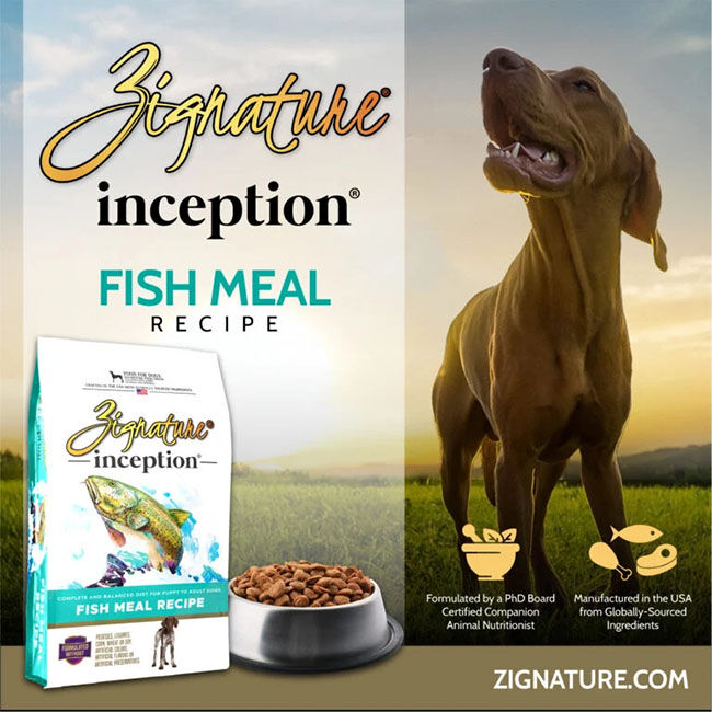 Zignature Inception Dog Food - Fish Recipe image number null
