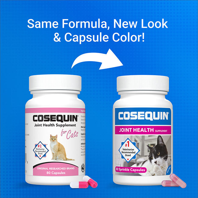 Nutramax Cosequin for Cats Joint Health Supplement, Contains Glucosamine for Cats, Chondroitin, and Omega-3s - Sprinkle Capsules - 80 Capsules image number null