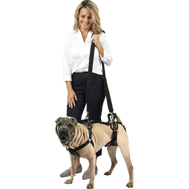 PetSafe CareLift Rear Support Harness image number null