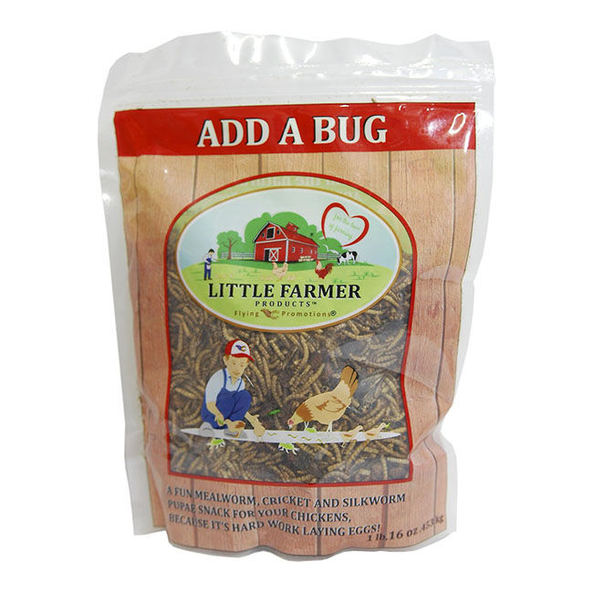 Add A Bug Chicken Treats 1 lb  image number null