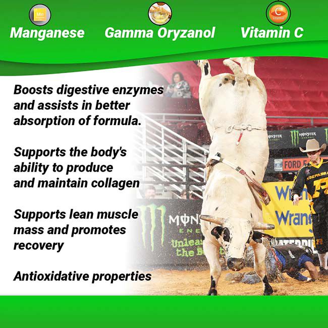 OptiWize Collagen Plus for Livestock image number null