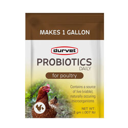 Durvet Probiotics Daily for Poultry