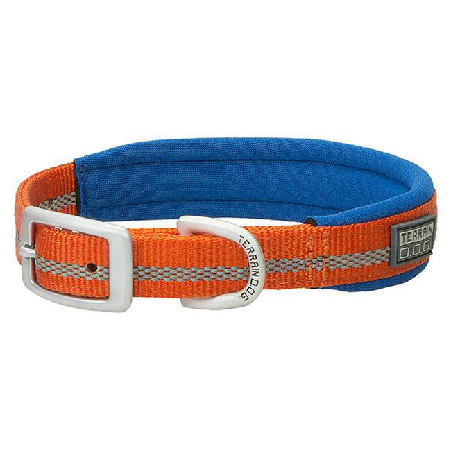 Terrain D.O.G. Reflective Neoprene-Lined Collar - Closeout image number null