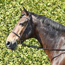 Bobby's English Tack Silver Spur Hand Braided Snaffle Bridle