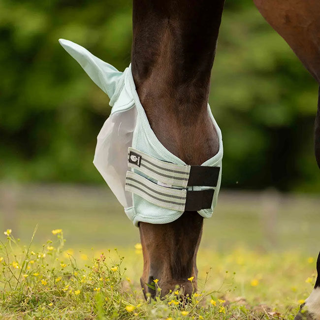 Equinavia Algard Soft Mesh Fly Mask - Misty Jade image number null