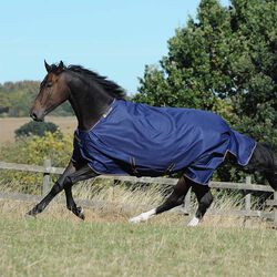 Bucas Irish Turnout (150g) - Navy/Gold