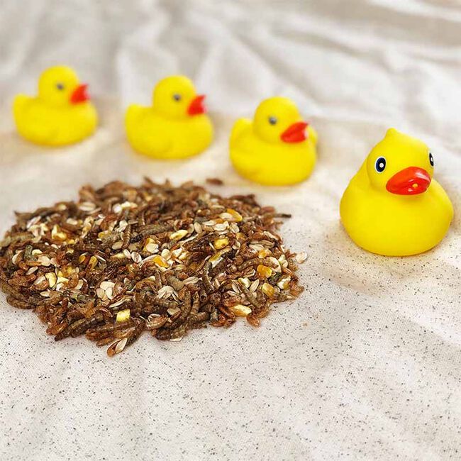 Happy Hen Duck Pond Medley - Oat, Worm & Shrimp Blend - 2 lb image number null