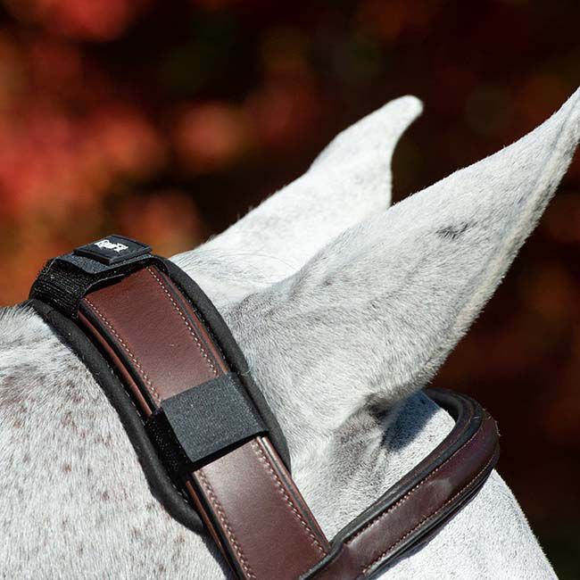 EquiFit ImpacTeq CrownPad image number null