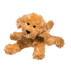 Douglas Molasses the Caramel Labradoodle