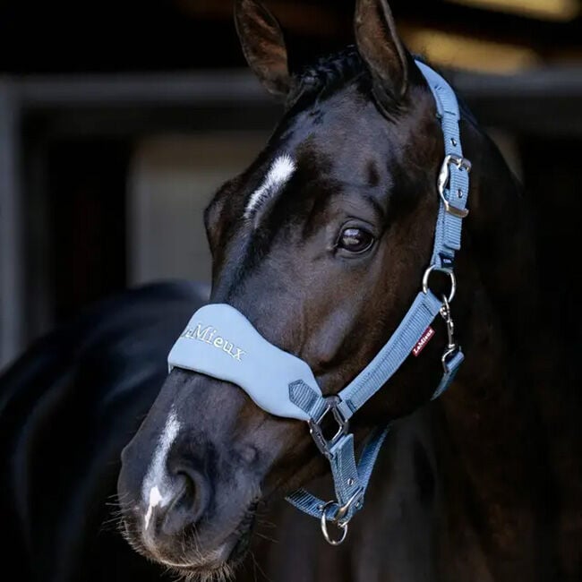 LeMieux Vogue Breakaway Halter - Ice Blue image number null
