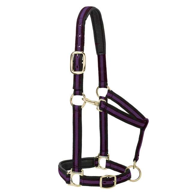 Weaver Equine Striped Padded Adjustable Chin & Throat Snap Halter image number null
