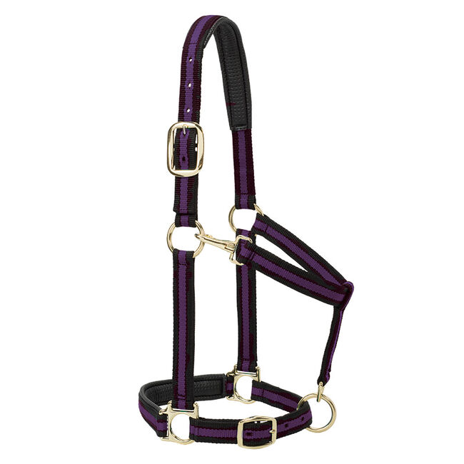 Weaver Equine Striped Padded Adjustable Chin and Throat Snap Halter image number null