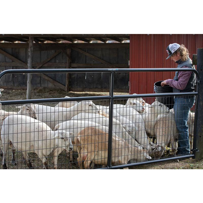 Tarter Watchman Wire Mesh Gate - Black image number null