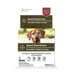 Bayer Chewable Quad Canine Dewormer-45+ lbs 2 Count