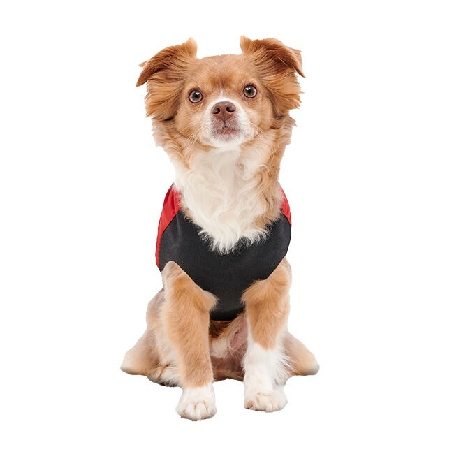 Goo-eez Mock Neck Signature Wrap Jacket for Dogs - Red image number null