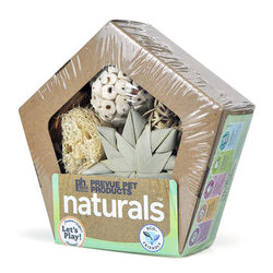 Prevue Pet Naturals Pentagon Forage N Play Box - Small