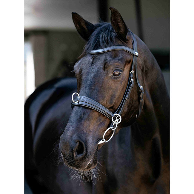 LeMieux Cross-Functional Leather Cavesson - Black image number null