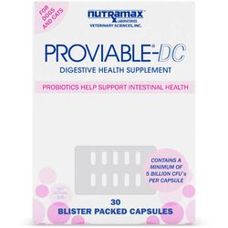 Nutramax Proviable Digestive Health Supplement Multi-Strain Probiotics and Prebiotics for Cats and Dogs - with 7 Strains of Bacteria - Blister Packed Capsules