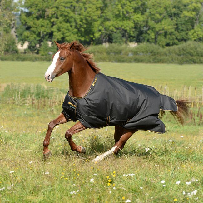 Bucas Irish Light Turnout Black & Gold image number null