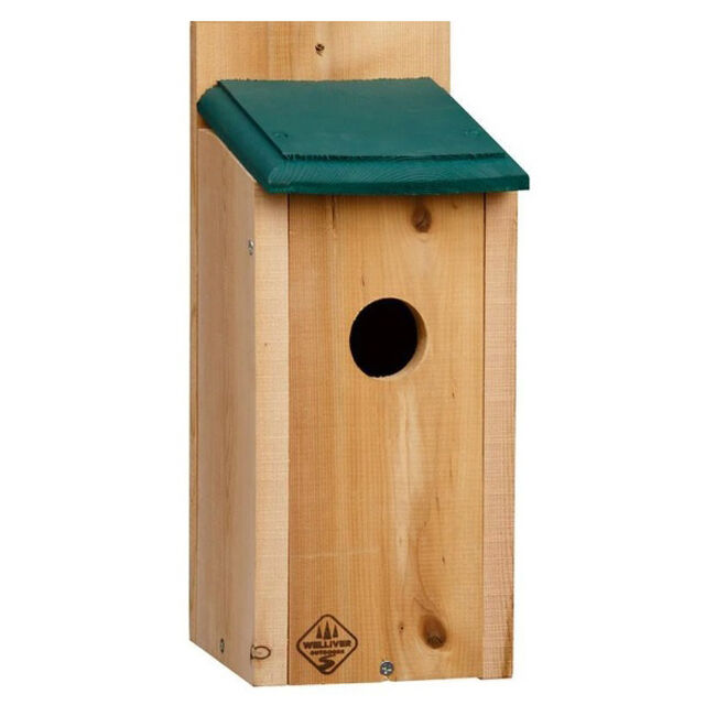 Welliver Outdoors Eastern Bluebird House image number null