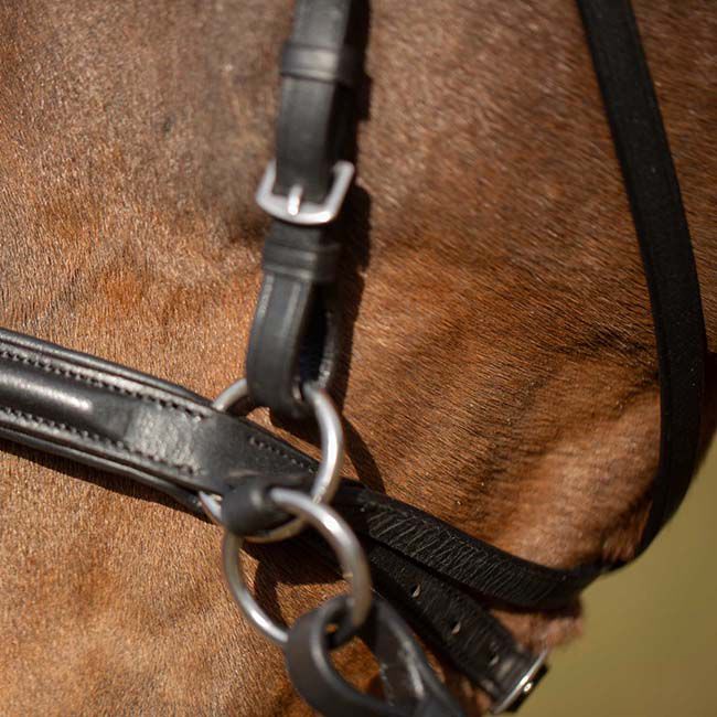 Equinavia Saga Bitless Bridle image number null
