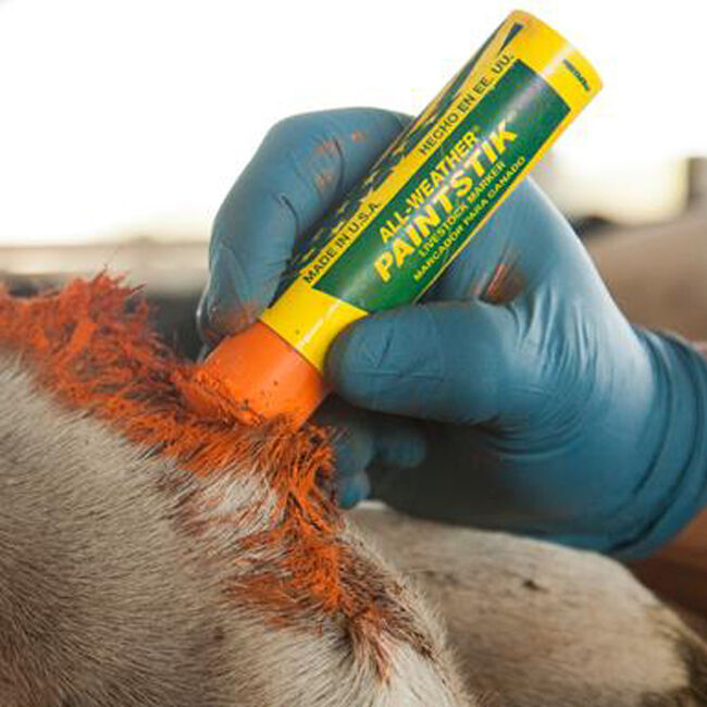 All Weather Paintstik - Red image number null