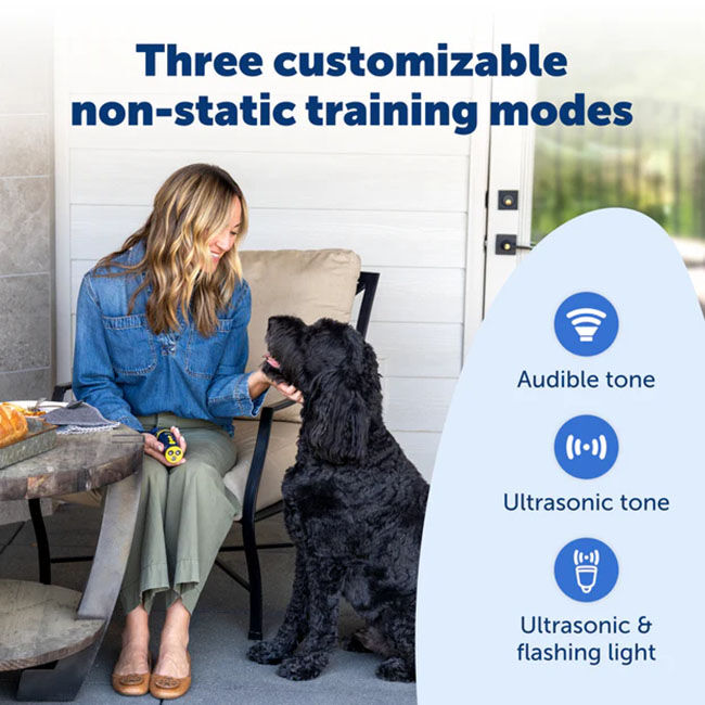 PetSafe Collarless Trainer - Ultrasonic Training Tool image number null