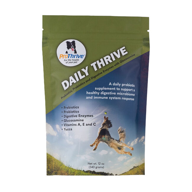 Animal Health Solutions ProThrive Daily Digestive Aid image number null
