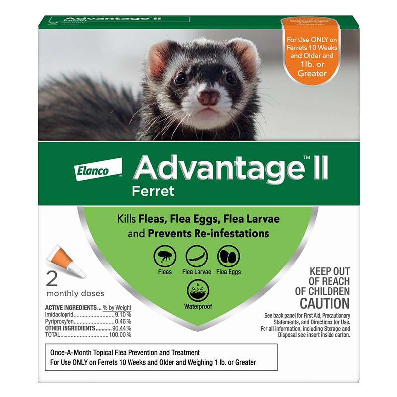 Wet cat food for ferrets hot sale